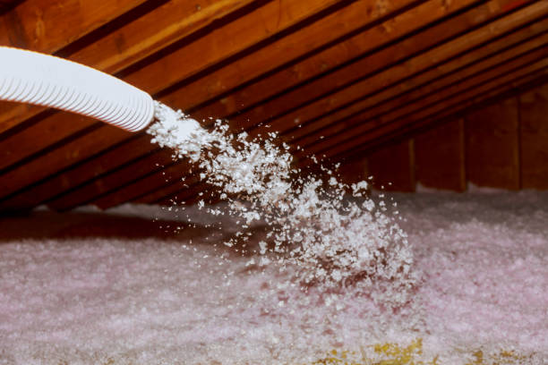 Best Best Insulation Companies  in Walnutport, PA