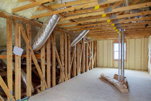 Best Insulation Removal  in Walnutport, PA