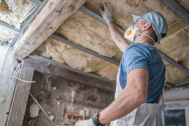 Best Insulation Repair Services  in Walnutport, PA