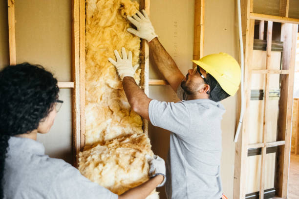 Best Professional Insulation Contractor  in Walnutport, PA