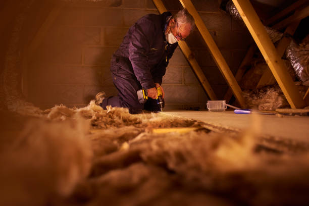 Best Best Insulation Companies  in Walnutport, PA